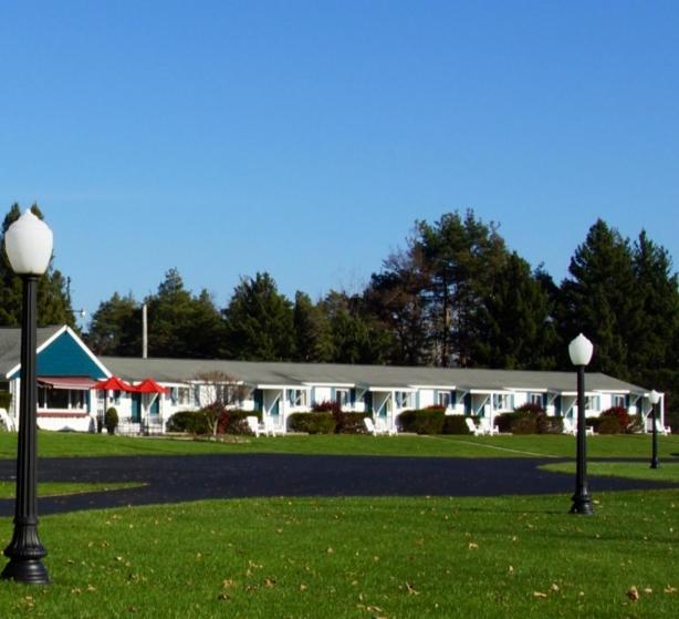 سكانيتيليس Birds Nest Motel المظهر الخارجي الصورة